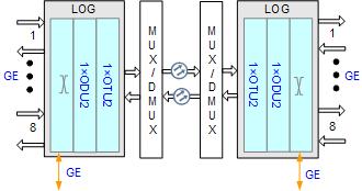 OSN8800 TN12LOG组网应用